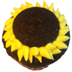 Oreo Sunflower Cupcake